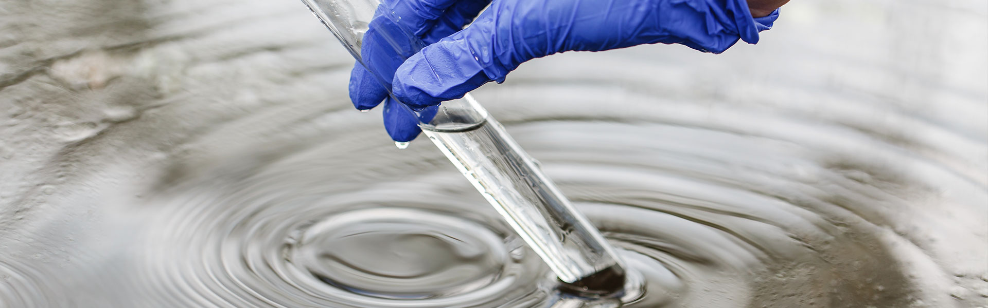 research-banner